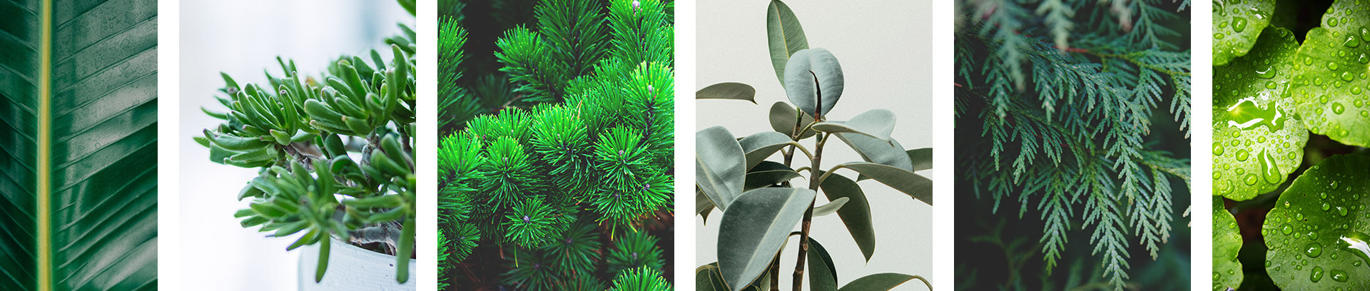 Garten und Landschaftsbau Witten