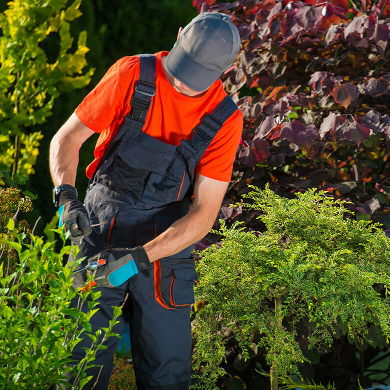 Garten und Landschaftsbau Witten
