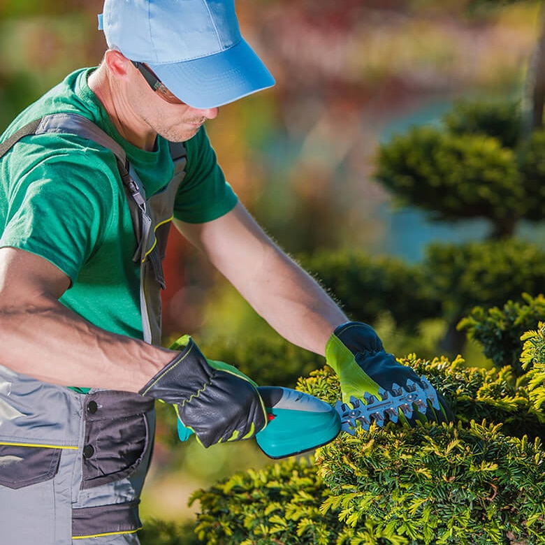 Garten und Landschaftsbau aus Witten